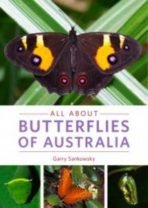 all about butterflies of australia garry sankowsky