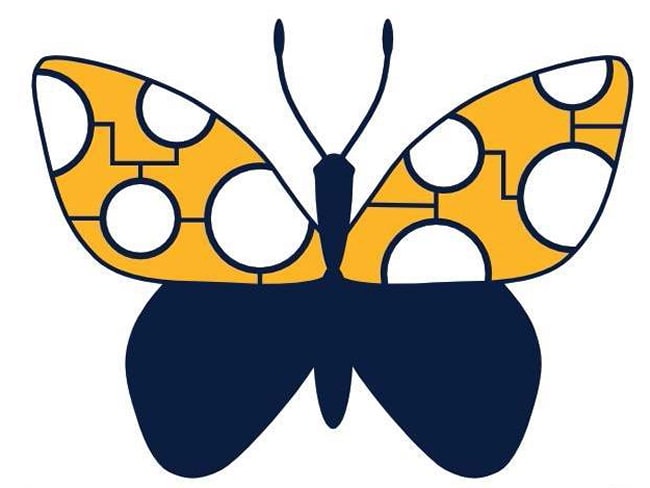 Butterflies Australia citizen science project