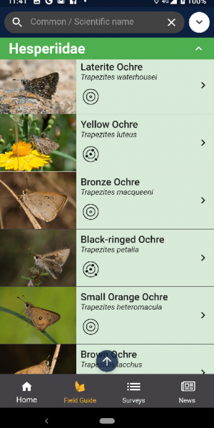 Butterflies Australia App screenshot