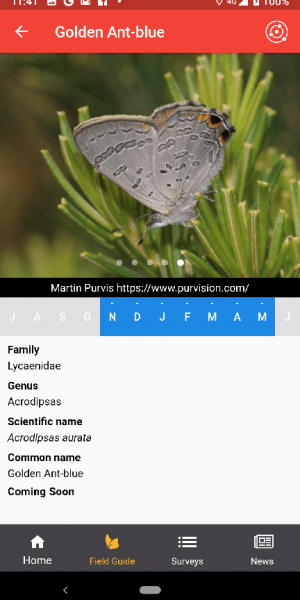 Butterflies Australia App screenshot