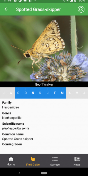 Butterflies Australia App screenshot