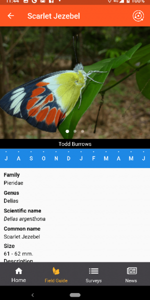 Butterflies Australia App screenshot